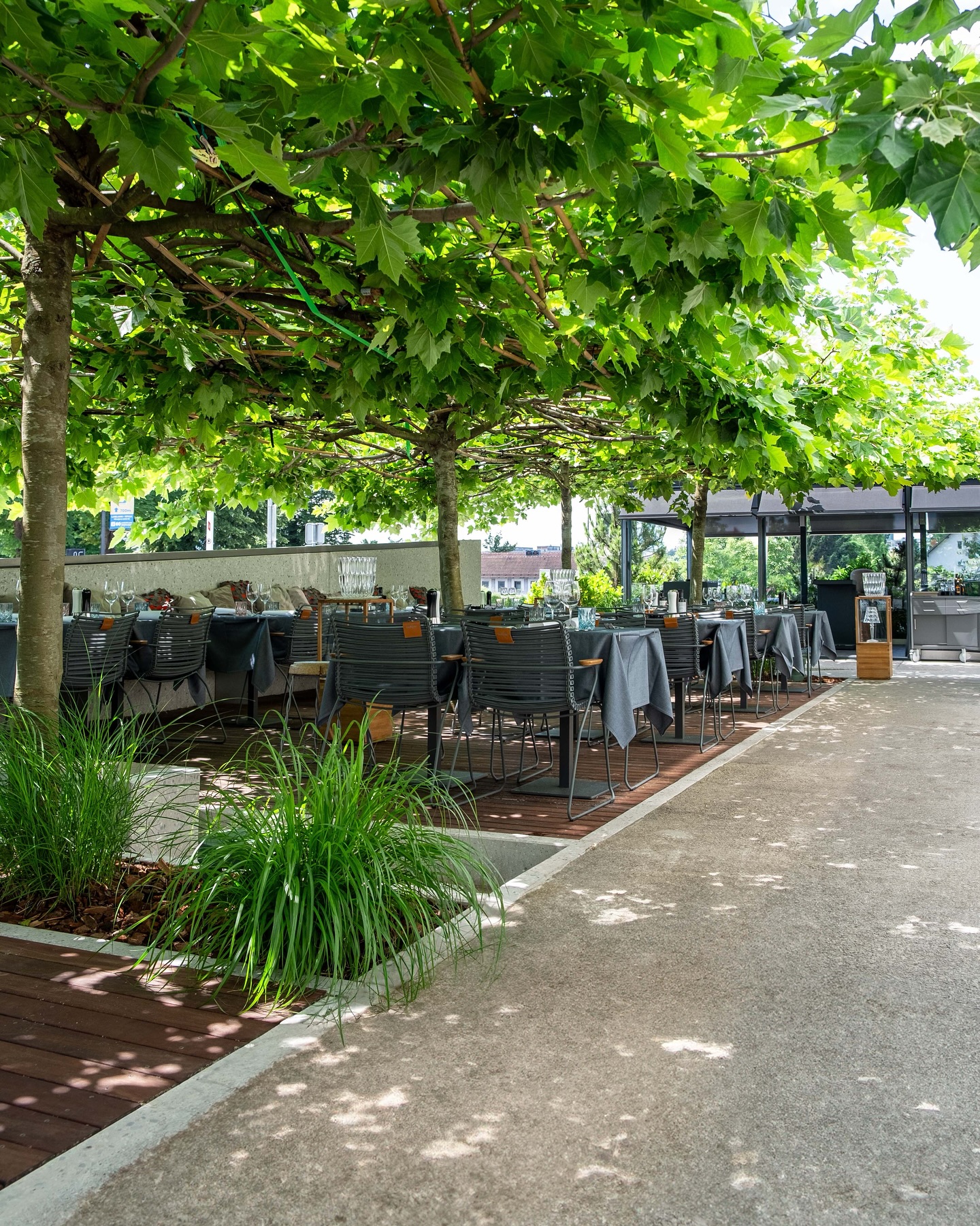 Kako je Jankovićeva dolga roka zamenjala načelnico, ki ni sodelovala pri njegovih rabotah