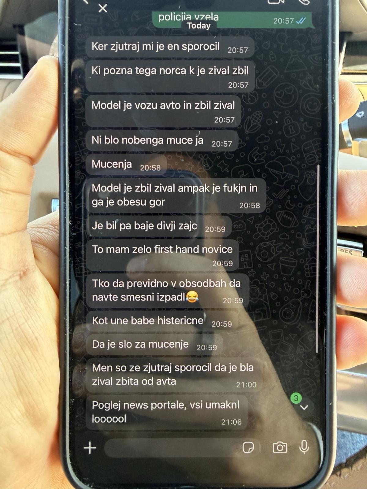 Ni šlo za mučenje psa in propagando – nek norec naj bi z avtom zbil divjega zajca