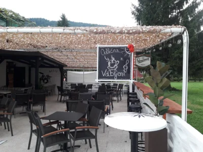 Rom v Kočevju z molotovko nad lokal