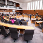 državni zbor parlament