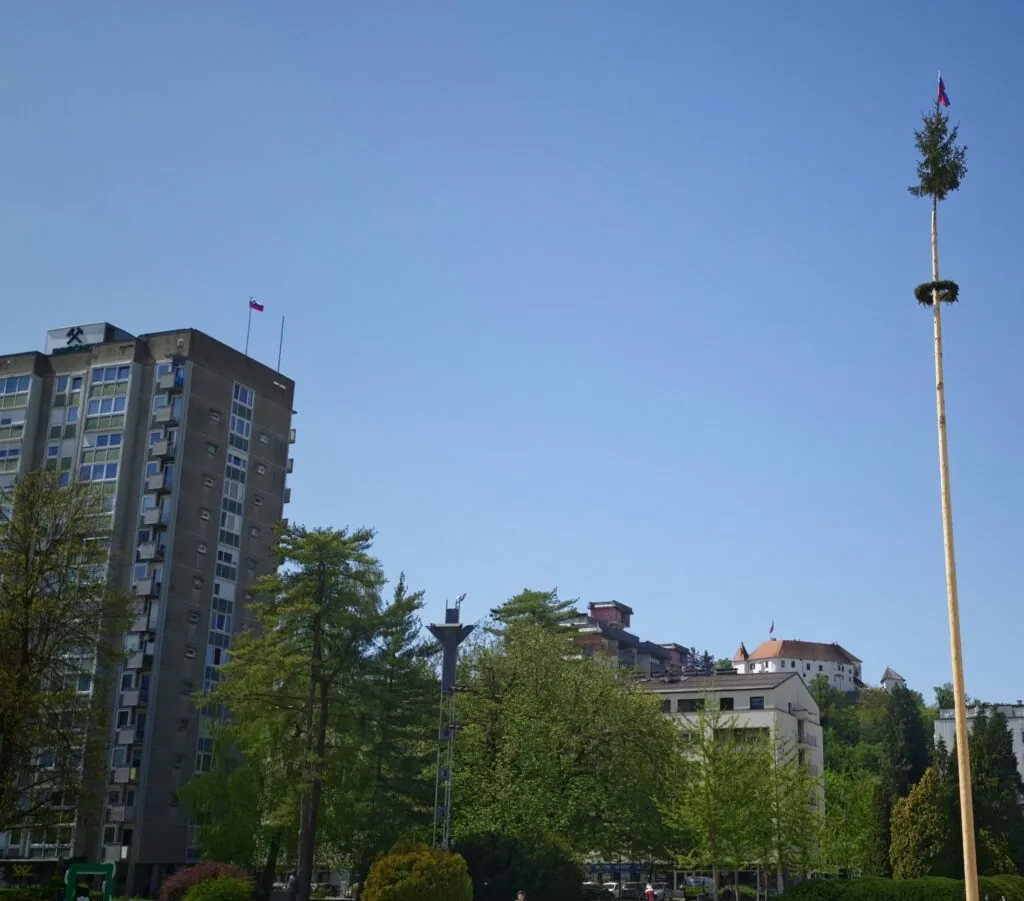 Velenjčani pozivajo na shod: prihaja novi “blokovski geto”