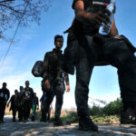 migranti