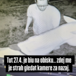 nepridiprav