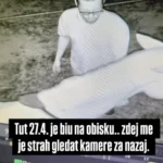 nepridiprav