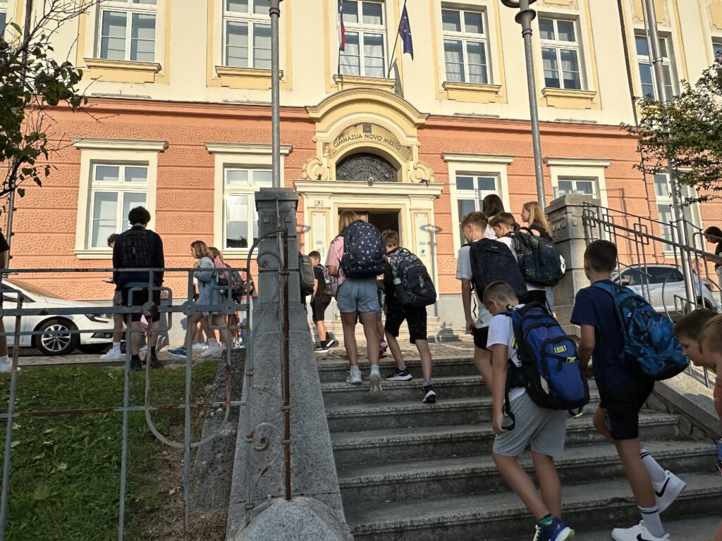 Napadalcema na novomeške dijake več let zapora