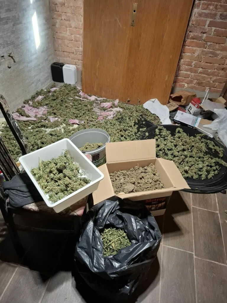 Drzne tatvine in konoplja v Ivančni Gorici
