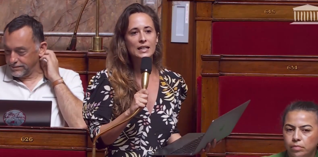 [Video] Šokantno priznanje v francoski skupščini: Levica odkrito razglaša konec belih Francozov