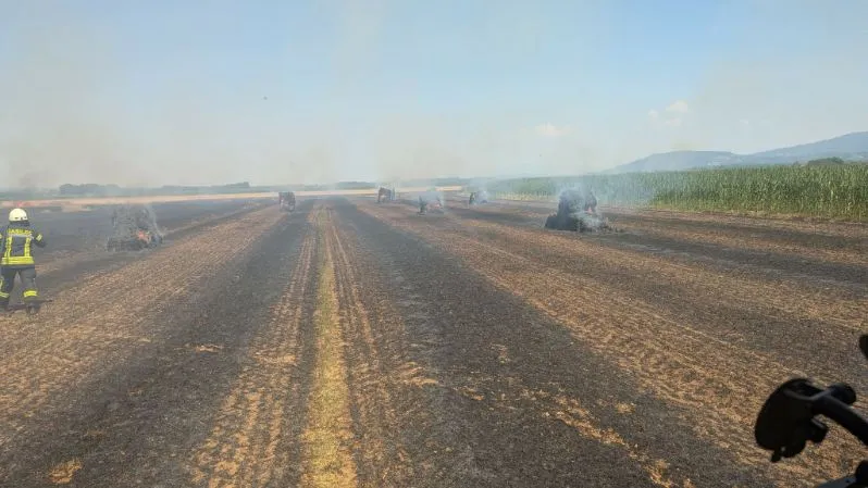 Kmetu v bližini romskega naselja zgorel pridelek, Bah Žibertova opozarja na neizvajanje Šutarjevega zakona v celoti