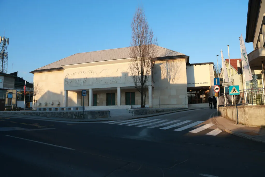 Glasna glasba, alkohol in imitacija orožja – policija pridržala mladoletnika