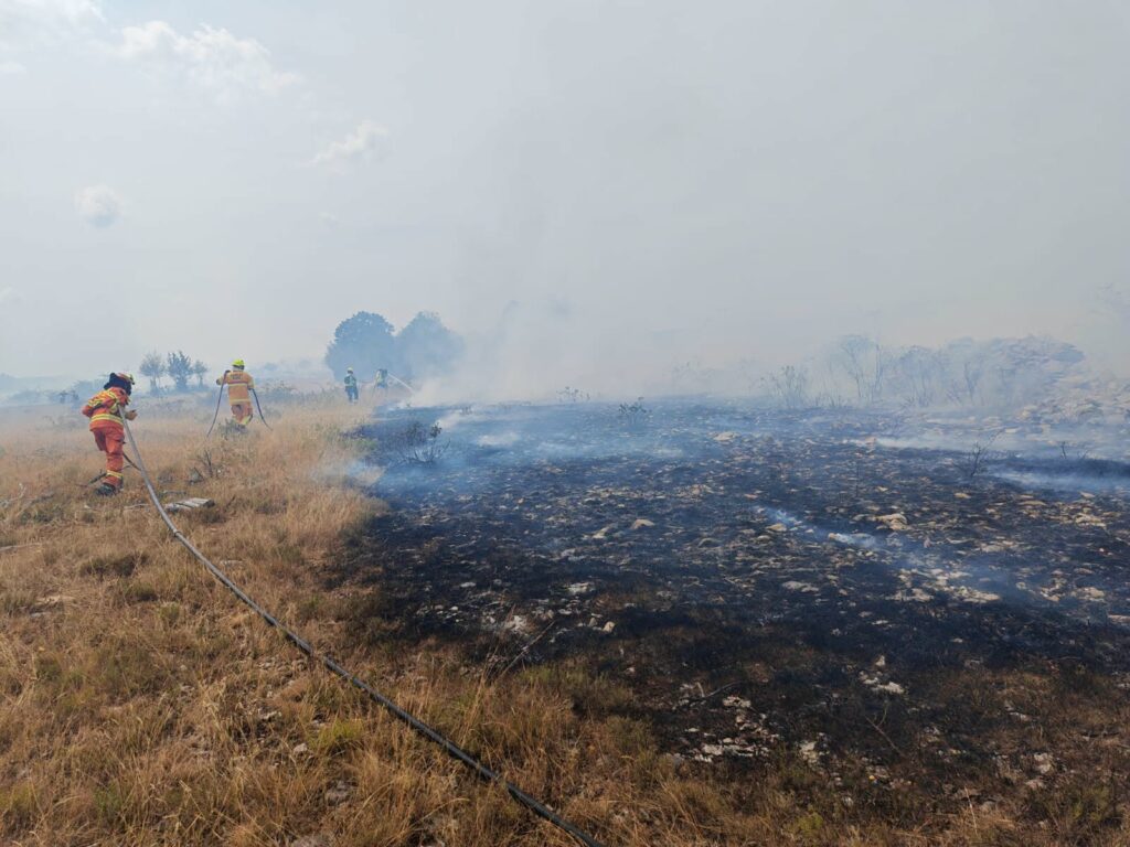(Na Primorskem velik požar, v zraku tudi gasilska letala