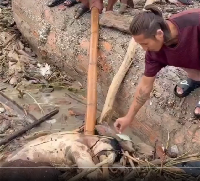 [Video] Medtem ko iščejo pogrešane, roparji plenijo mrtve