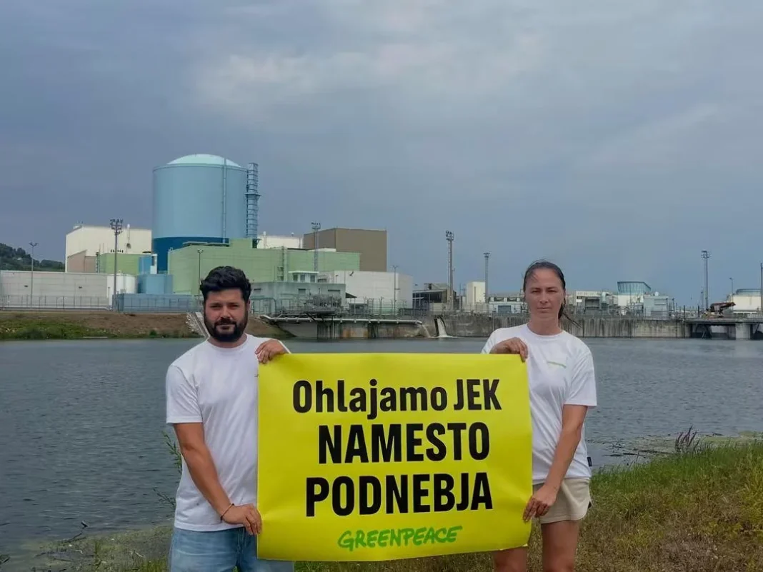 Definicija neumnosti: Zeleni aktivisti se očitno aktivno borijo za podnebne spremembe