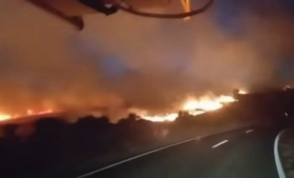 [Video] Hrvaška v plamenih: zagorelo tudi na Dugem otoku