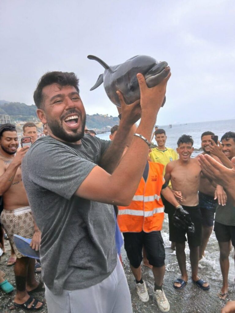 [Video] Pretresljivi posnetki: migranti v Ceuti ubili delfinjega mladička