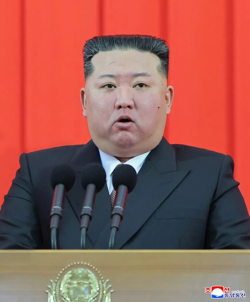 Je Kim Jong Un v komi?