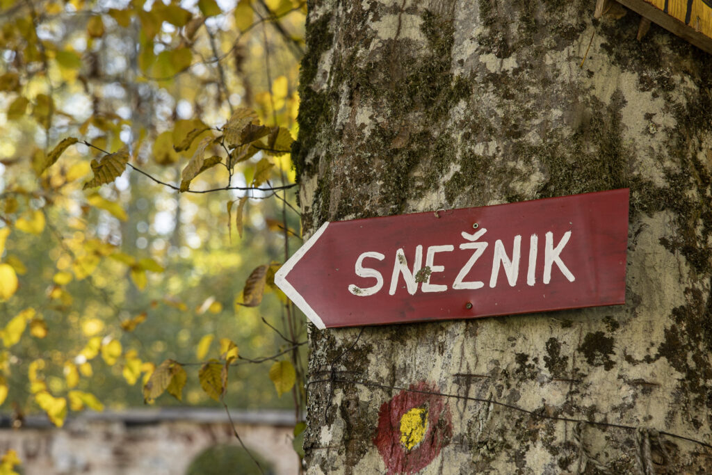 Župan dr. Gregor Kovačič in park Snežnik: Od predvolilnih pravljic o sodelovanju do arogance in utišanja kritičnih glasov