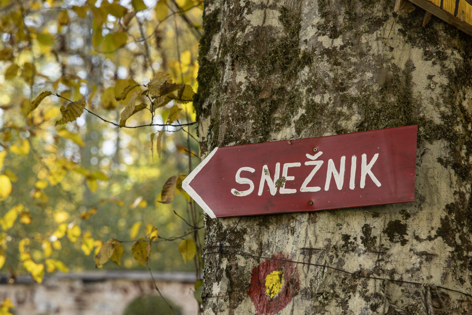 Župan dr. Gregor Kovačič in park Snežnik: Od predvolilnih pravljic o sodelovanju do arogance in utišanja kritičnih glasov