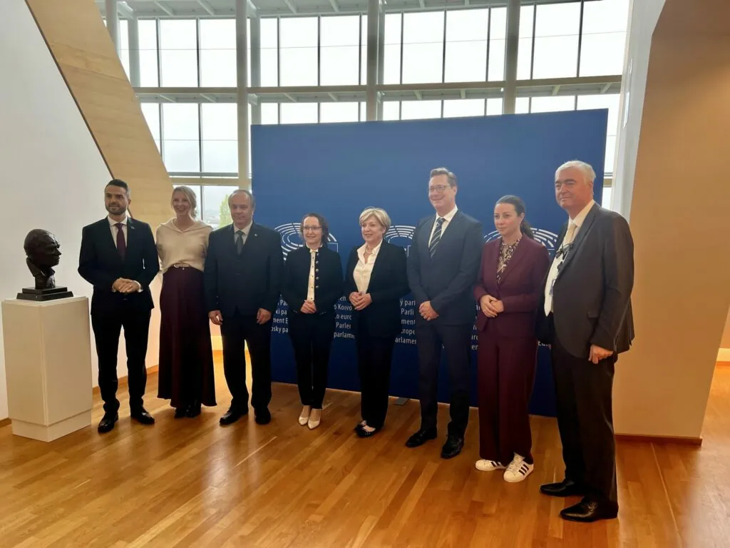Kako ustaviti demografski upad? Ministrica Ribič v Strasbourgu s slovenskimi evropskimi poslanci