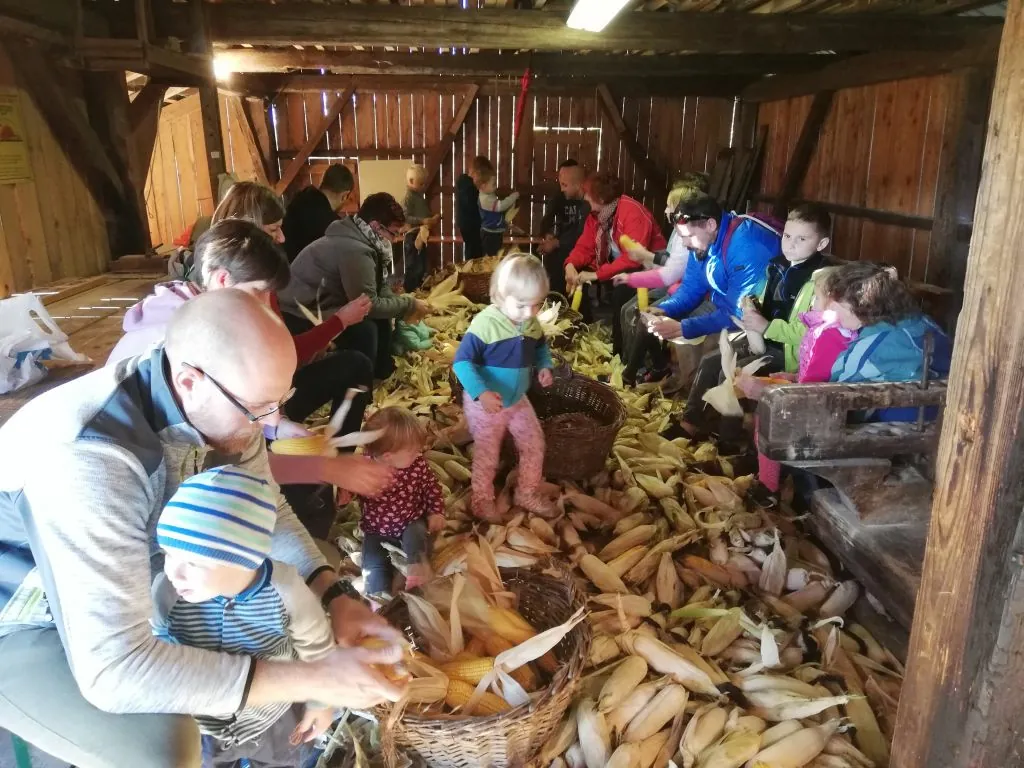 Tradicionalno kožuhanje na Koroškem
